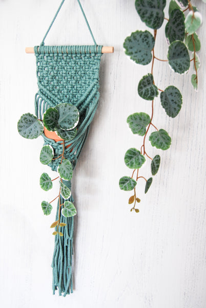 Load image into Gallery viewer, Handmade Boho Macramé Plant Hanger Wall Hanging