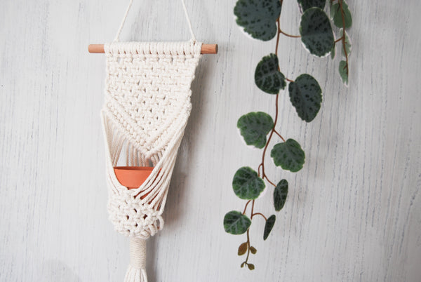 Load image into Gallery viewer, Handmade Boho Macramé Plant Hanger Wall Hanging