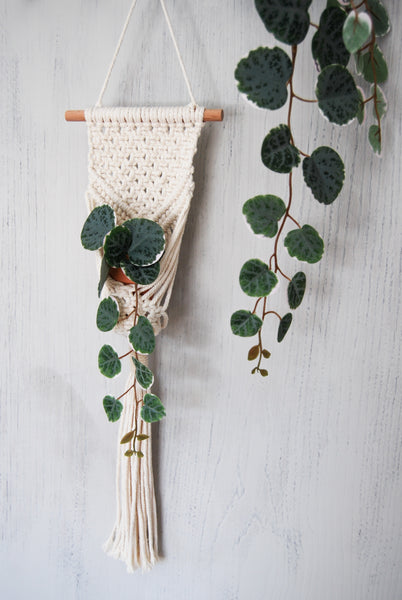 Load image into Gallery viewer, Handmade Boho Macramé Plant Hanger Wall Hanging