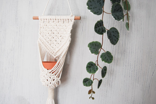 Load image into Gallery viewer, Handmade Boho Macramé Plant Hanger Wall Hanging
